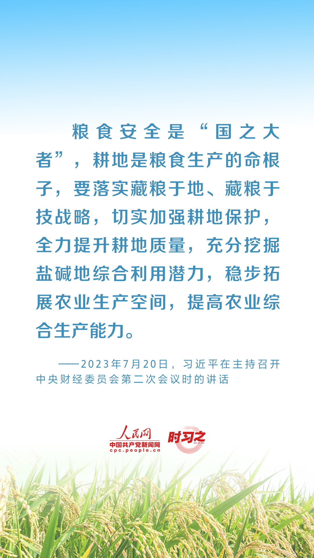 全方位夯实粮食安全根基 习近平强调切实加强耕地保护